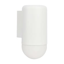 Ivor Frosted Glass Outdoor Wall Light